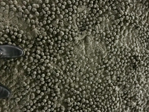 江西達(dá)人建材陶?；炷? title=