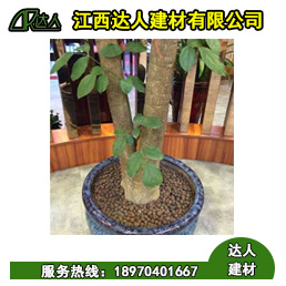 花卉園林陶粒好不好用？